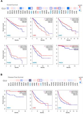 A pan-cancer analysis reveals role of clusterin (CLU) in carcinogenesis and prognosis of human tumors